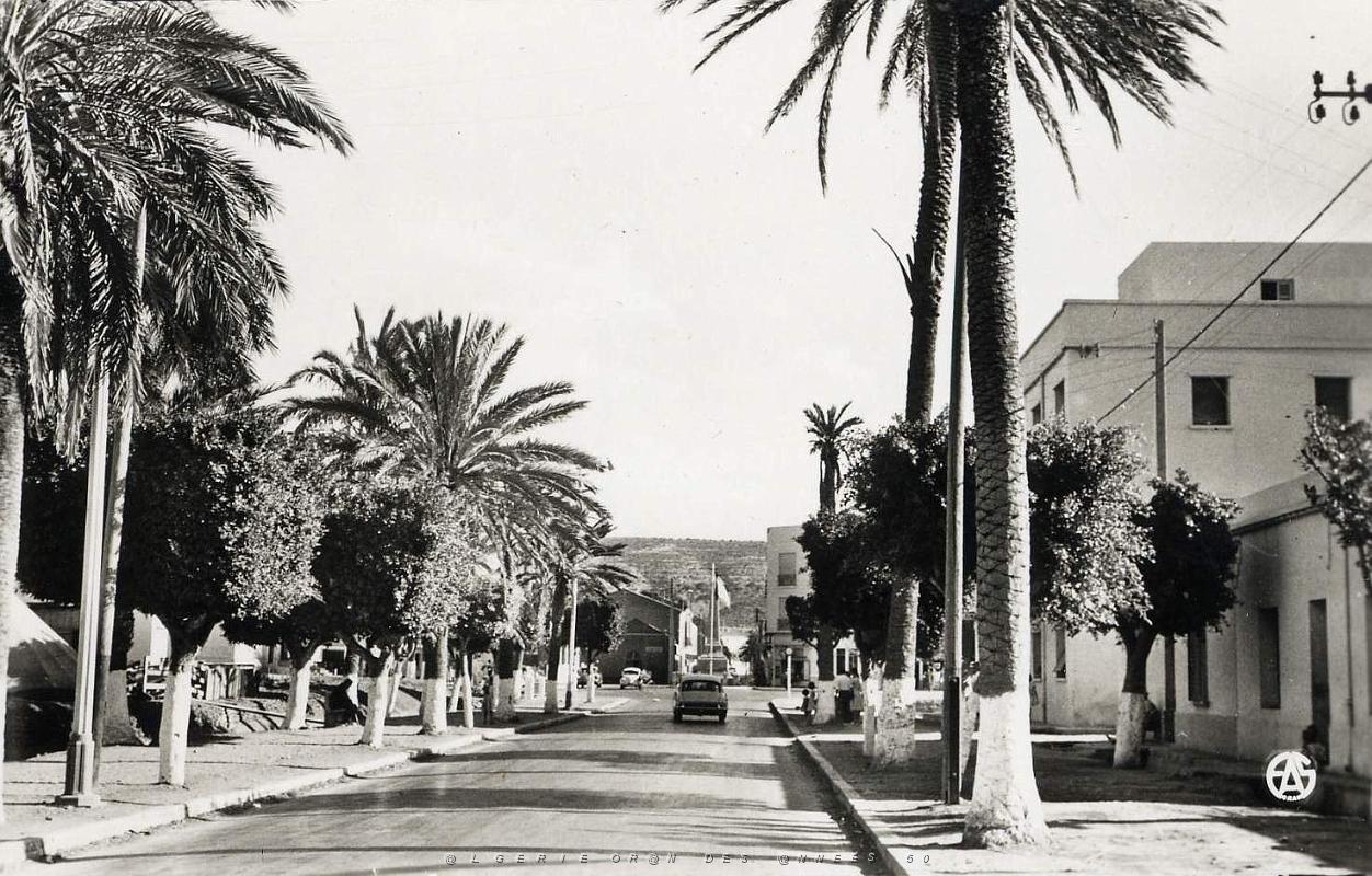 Arzew 511- Ae de la Liberation COLLECTION DES AMIS DE ND DE SANTA CRUZ.jpg